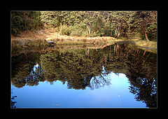 photo "****"