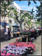 photo "city market"
