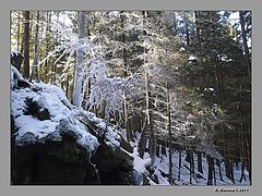 photo "***"