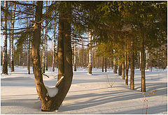 фото "Зимний вечер."