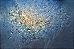 photo "***"