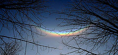 фото "Halo"
