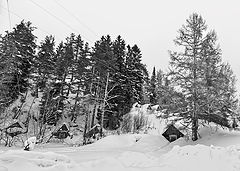 фото "домики для гномиков"