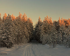 photo "9"