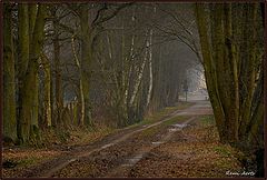 photo "***"