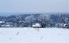 photo "Blue Morning"