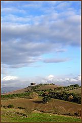 фото "Toscana II"