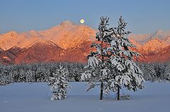 фото "зимний пейзаж"