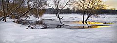 photo "Warm colors of winter"