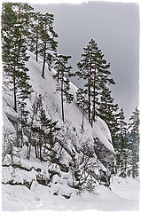 фото "Наскальные"