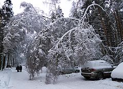фото "Естественный гараж"