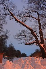 фото "огненный снег"