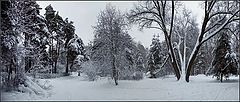 photo "Winter view"