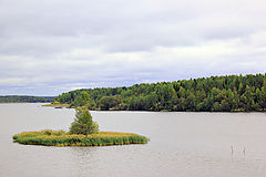 photo "Green island."