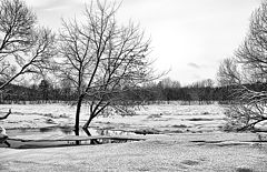 photo "Wintry"