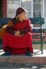 photo "lama"