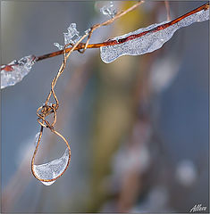 photo "***"