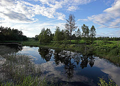 photo "***"
