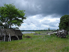 photo "***"
