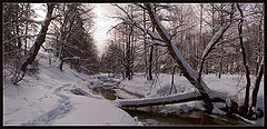 photo "***"