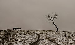 photo "2"