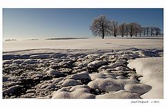 фото "County for wetland"