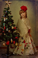 photo "Christmas Card"