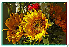 фото "Bouquet"