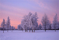 фото "Розовое утро"