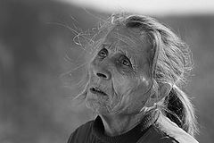 photo "Old woman"