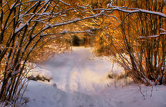 photo "Winter fairy tale"