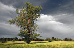 photo "***"