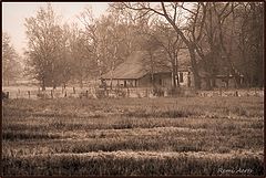 фото "old farm"