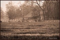 photo "old farm"