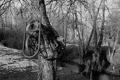 photo "OLD FASHION"