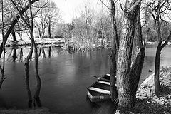 photo "old river"