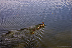 photo "***"
