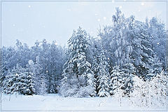 photo "Snowing"