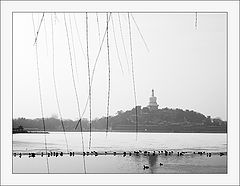 photo "beijing-28"