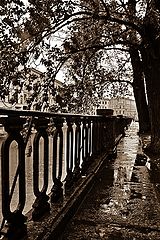фото "***"