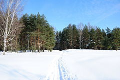 photo "***"
