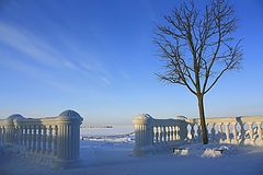 фото "зимний петергоф"