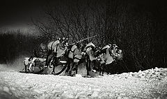 фото "Умчи меня ночной олень"