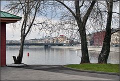 photo "Spring in Moscow"
