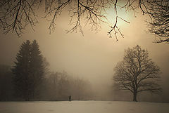 фото "..."