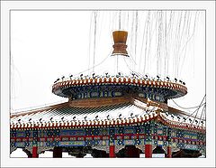 photo "beijing-32"
