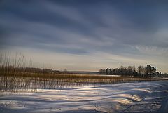 photo "The long winter shadows"