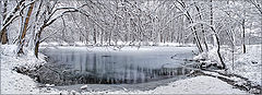 photo "***"