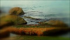 photo "***"