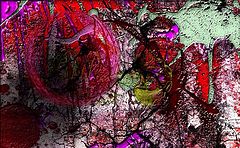 фото "***"